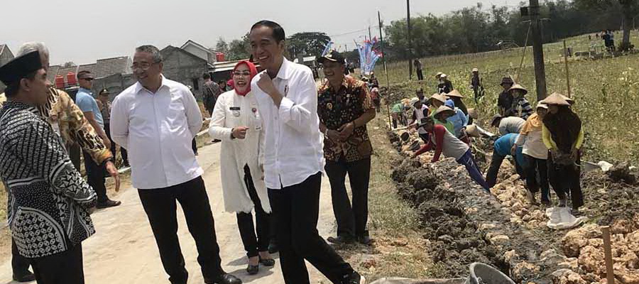 jokowitinjau2 1